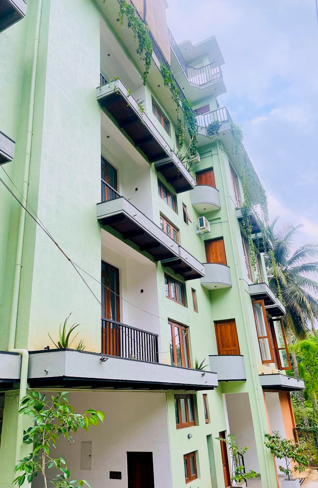 WhatsApp Image 2024-09-24 at 11.08.36 AM